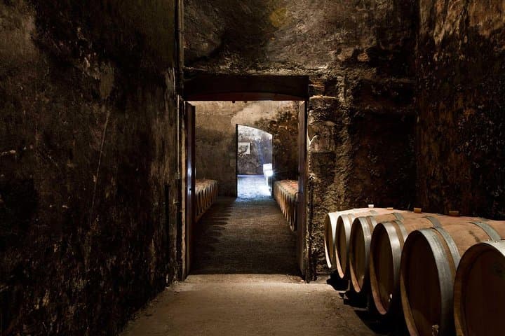 Bordeaux: Wine Tour and Tasting