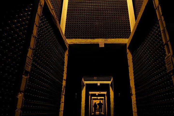 Visit historical cellars