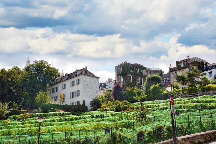 Montmartre and Sacré-Cœur Walking Tour with a Local Guide
