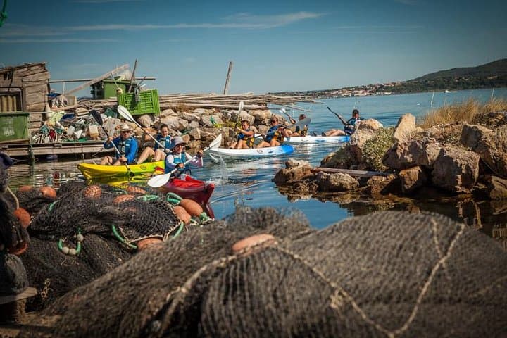 3 Hour Sea Kayak Trip in the Canals of Sete