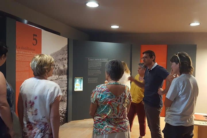 Visit of the Artemisia museum