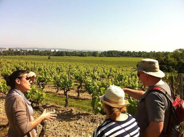 Wine tour