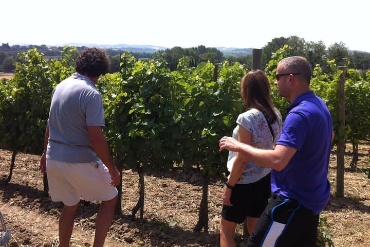 Wine tour