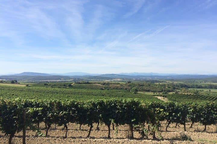 Wine tour
