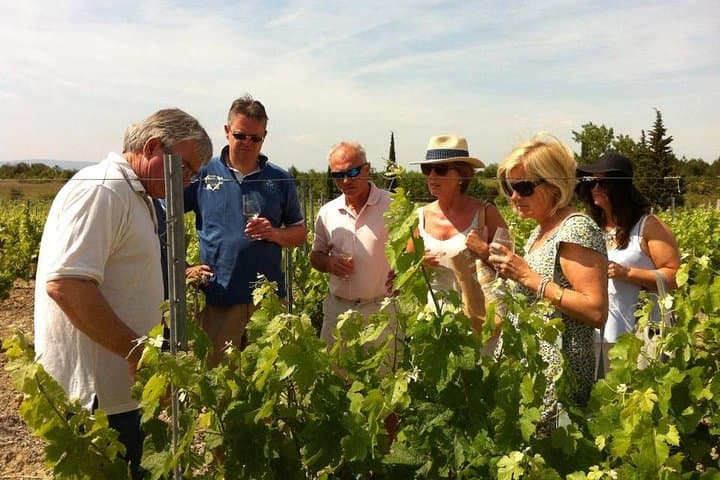 Wine tour