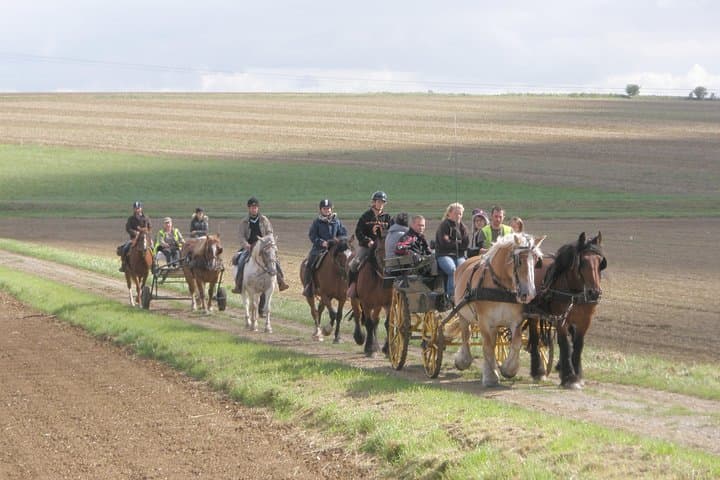 Horse riding in the French countryside between Paris and Lille