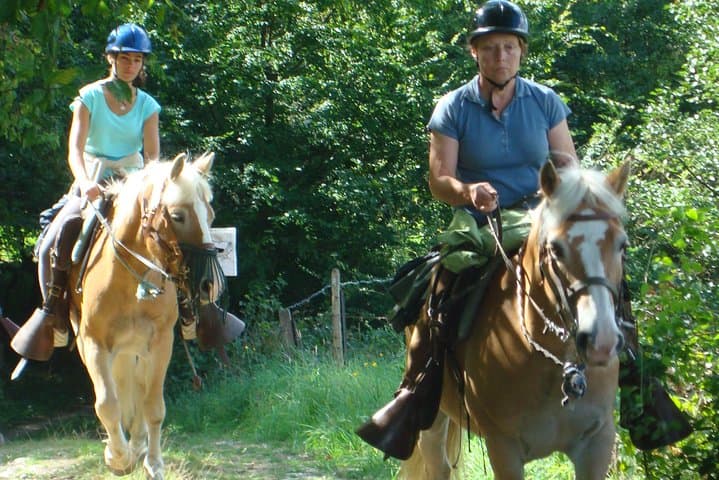 Horse riding in the French countryside between Paris and Lille