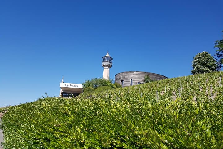 Private day tour in Champagne