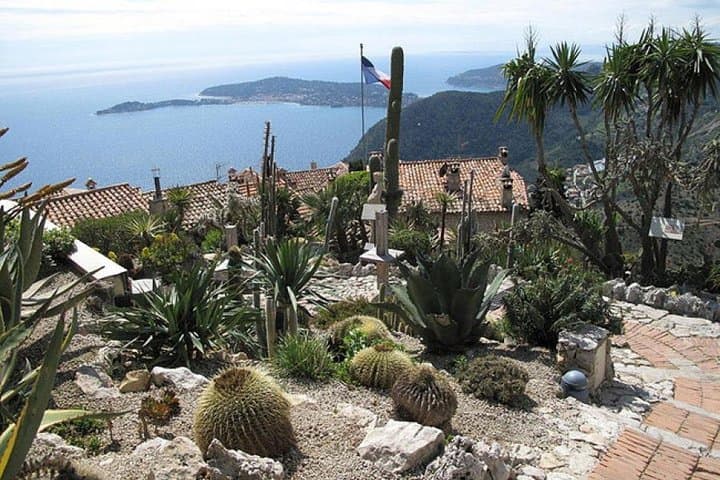 Private Tour Monaco, Monte Carlo & Eze (from Cannes)
