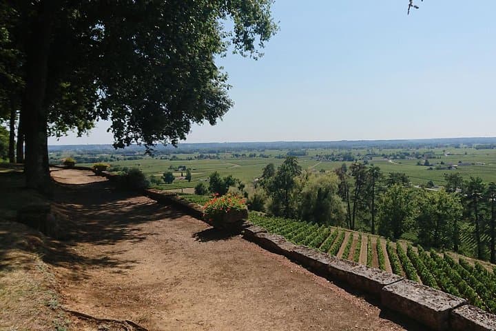 A day in St-Émilion and its Castles in private tour (Van Luxe)