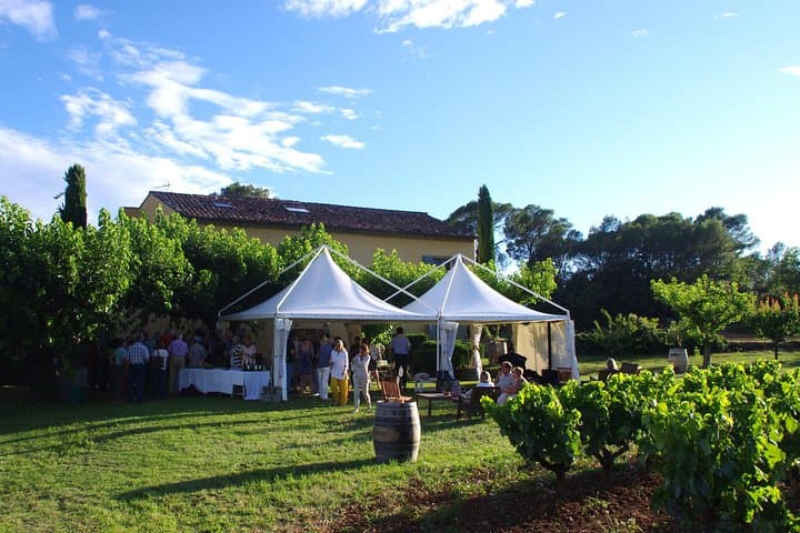 Roséwinetasting Parties or Workshops with a WineEducator at your place