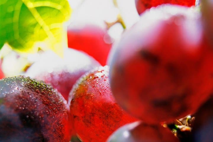 Roséwinetasting Parties or Workshops with a WineEducator at your place