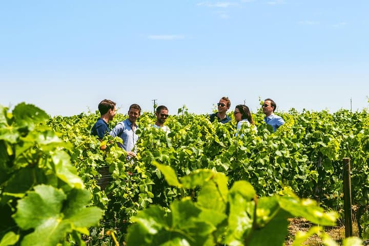 Champagne tours