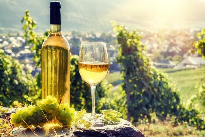 Wine tasting in Alsace