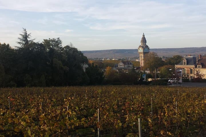 Private Champagne tour from Paris