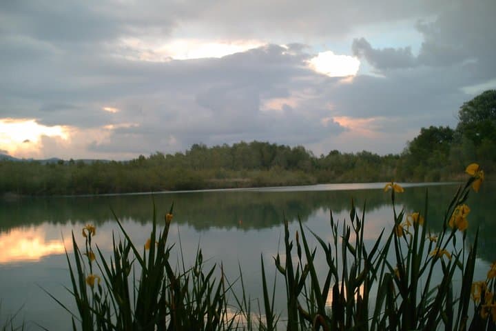Fishing in Provence