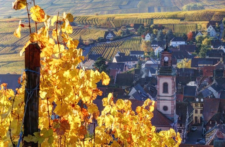 Riquewihr