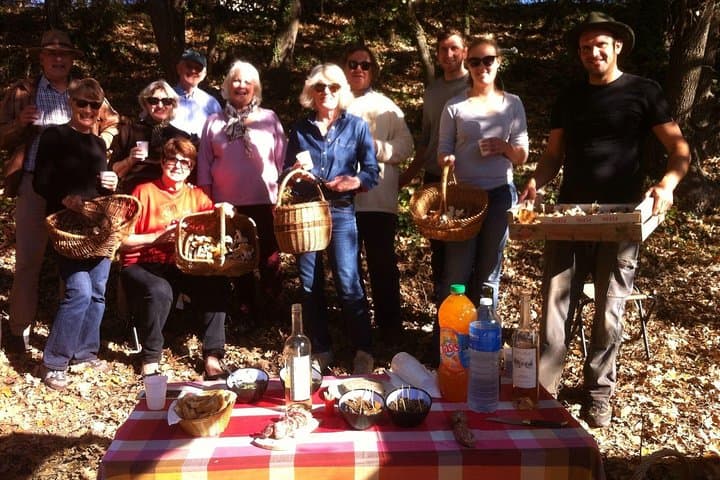 Mushroom hunting in Provence