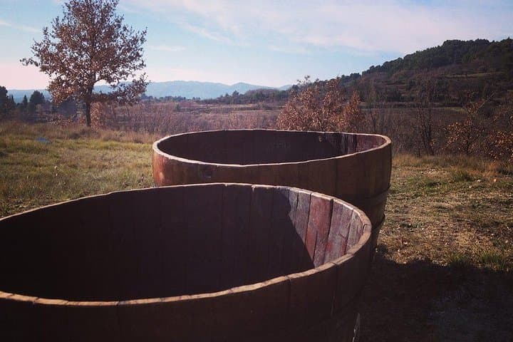 Grape Stomping in Provence