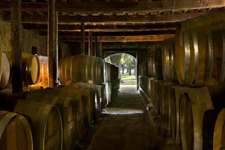 Authentic gourmet treasures of Gascony !