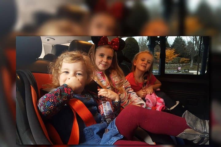 CDG - Euro Disney One Way Private Shuttle Transfer