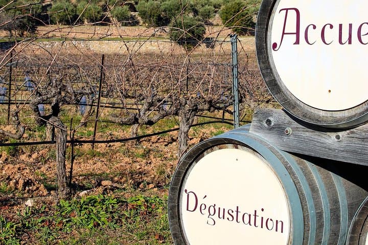 Vineyards, Gastronomy - the best of food & wine in Provence