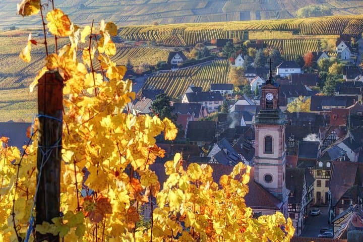 Alsace wine route