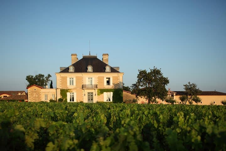 Private wine tour from Bordeaux in the Graves region