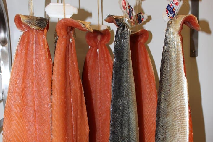 Refining or ripening salmon fillets