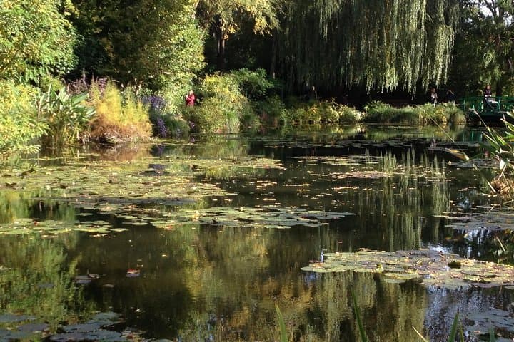 Water-lilies