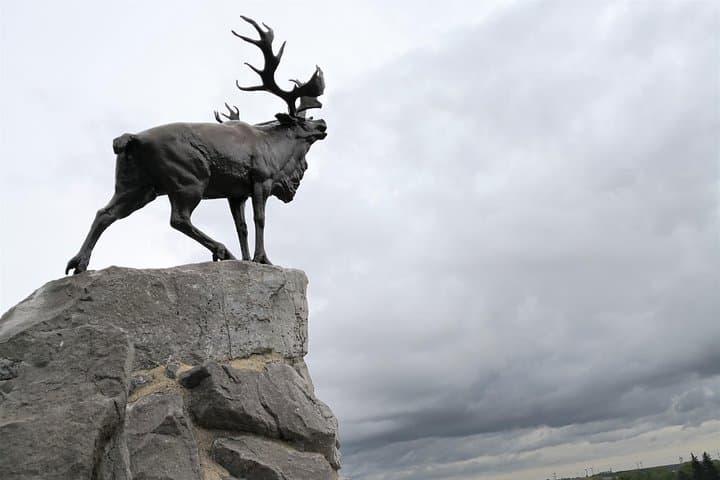 Beaumont Hamel Newfoundland Park - The Caribou monument overlooks the trenches and the battleground
