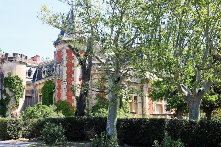 Avignon & the vineyards of Châteauneuf du Pape, where life is lived in its wine