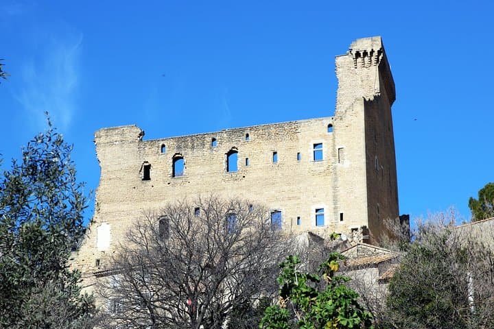Avignon & the vineyards of Châteauneuf du Pape, where life is lived in its wine