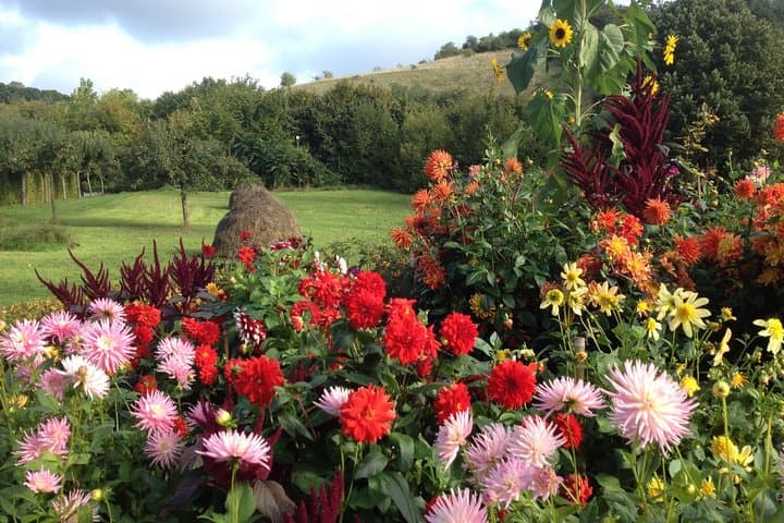 Haystacks in Giverny