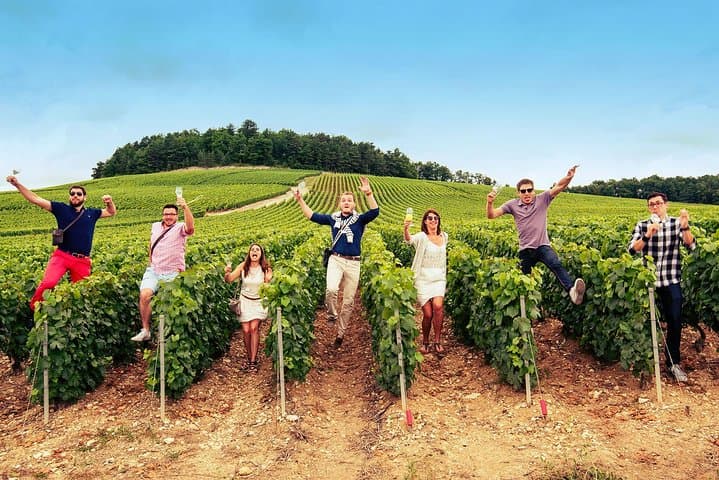 Champagne Albert Beerens Tour & Tasting