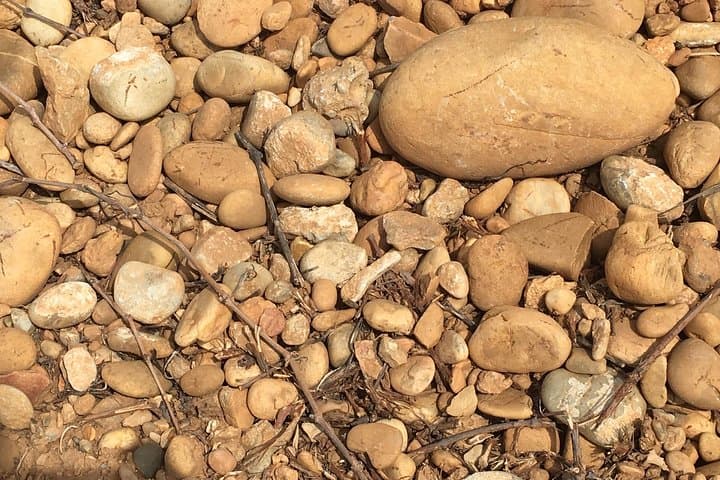 All about the Terroir