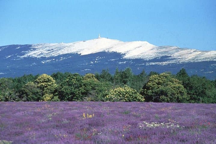 Transfer Avignon to Vaison la Romaine and surroundings