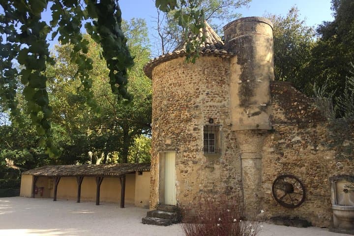 Côtes du Rhône Wine tour: Avignon, Palace of the Popes