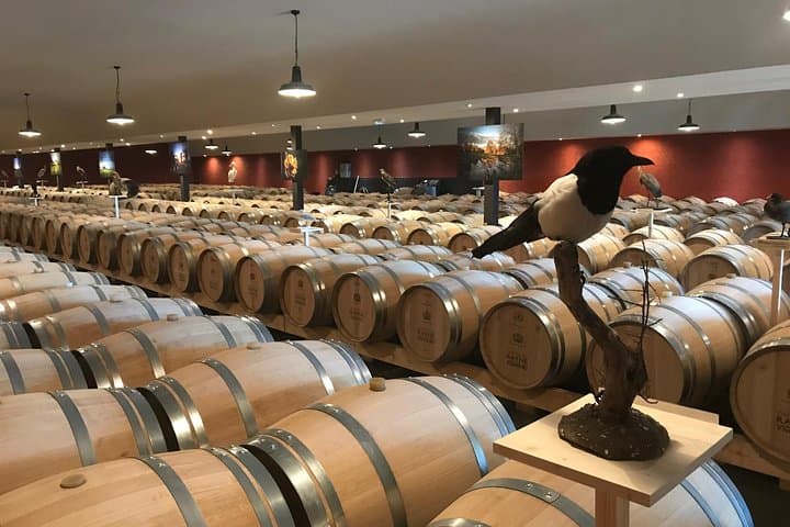 The cellars of classified growths