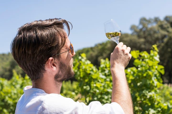 Bandol & Cassis Wine Tour From Aix en Provence