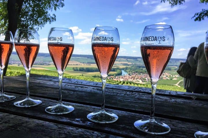 Champagne Tasting at the heart of the vineyard