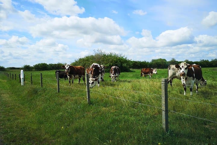 Normandy Battlefields Tour - American Sites (A3)
