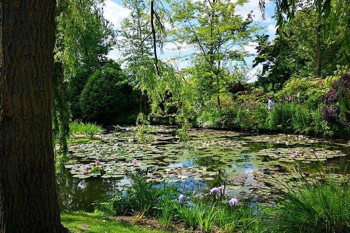 Private Tour: Rouen and Giverny Day Trip from Caen