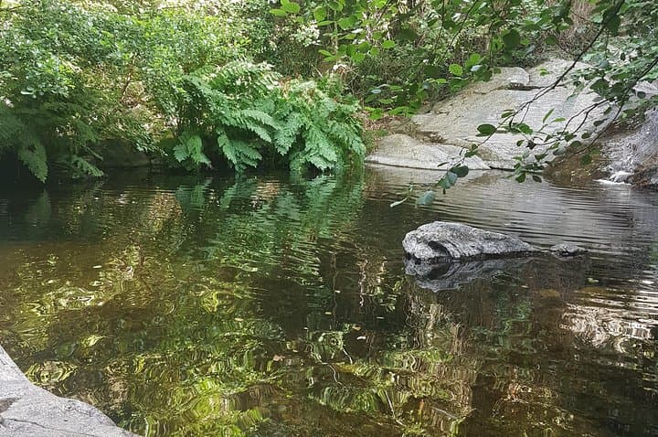 Over Water and Bird Songs