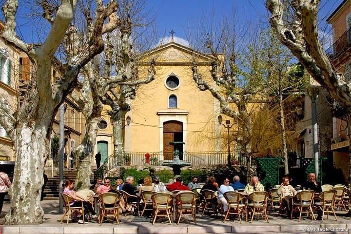 Bandol/Cassis Wine Day Tour : 7 hours