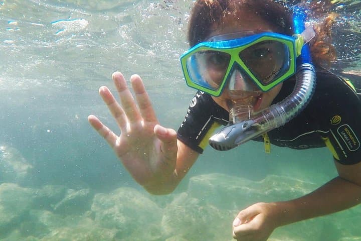 Snorkeling - By boat on site in the Bay of Cannes or Estérel