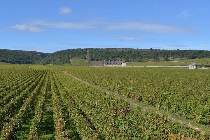 Small-Group Full-Day Tour of Côte de Nuits, Côte de Beaune Vineyards and Beaune Historical District
