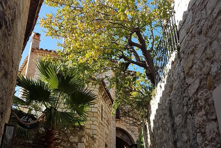 Villefranche Shore Excursion: 6 hrs Private Tour Eze and Monaco