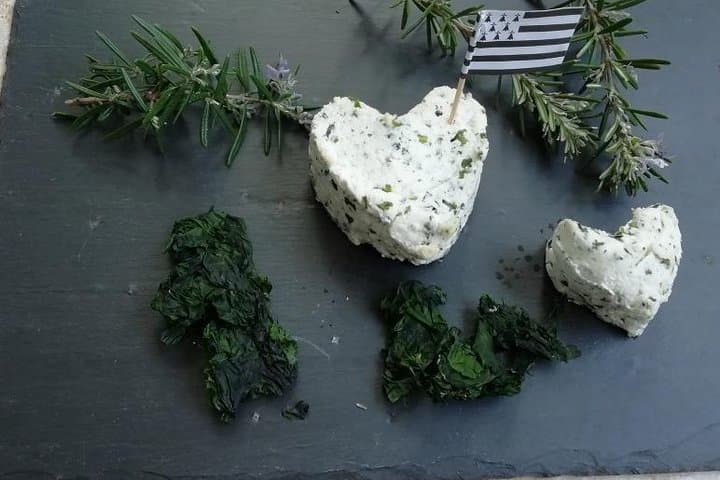 Tasting of seaweed cheeses
