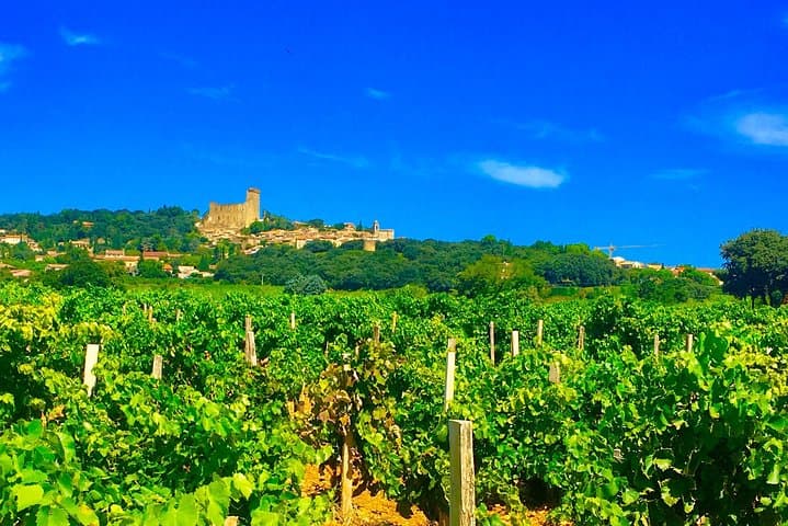 Half-Day Provence Pont du Gard and Wine Tasting Tour from Avignon